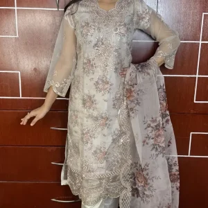 Pakistani Sadabahar Inspired Party Wear - Silvery Grey