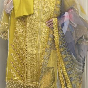 Pakistani Sadabahar Inspired Party Wear 118